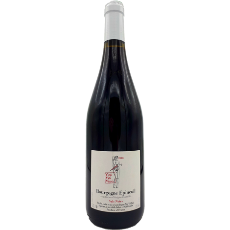 Pinot Noir Bourgogne Epineuil Vals Noirs Nicolas Vauthier 2019