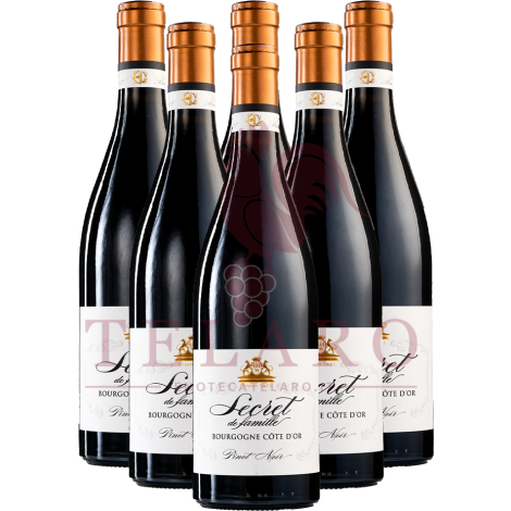 Pinot Noir Secret de Famille Bourgogne Cote d'Or Albert Bichot X 6 Bottiglie 2017