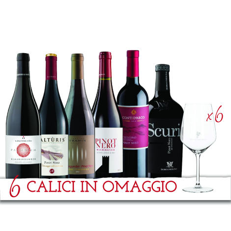 Degustazione Pinot Nero + 6 Calici Omaggio - Enoteca Telaro